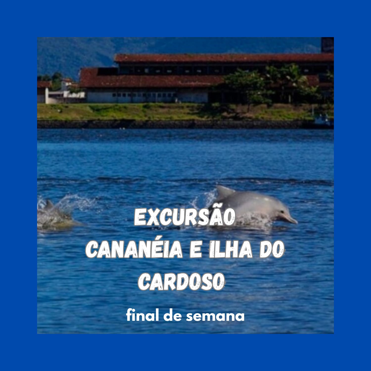 WhatsApp Image 2025-10-29 at 15.31.47