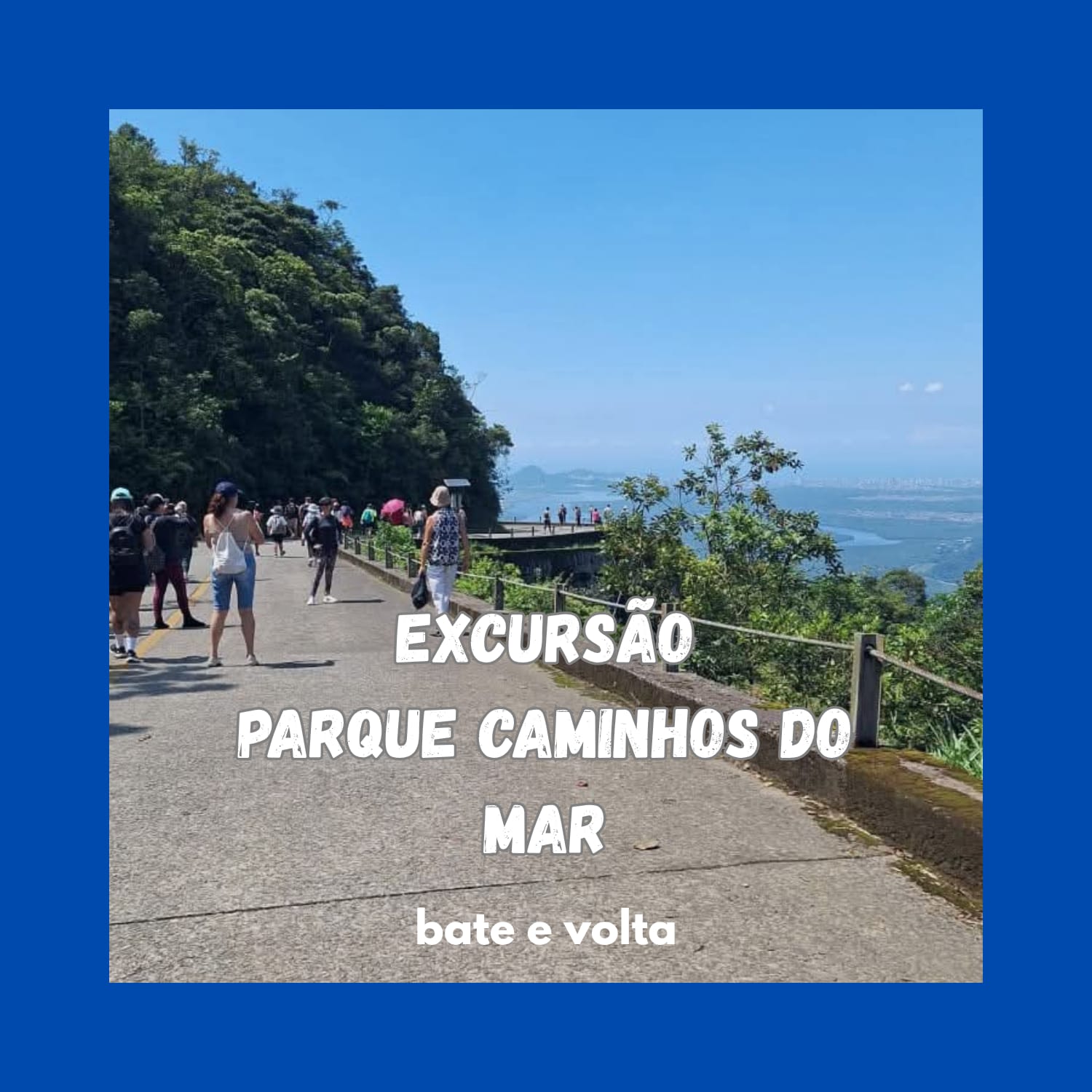 WhatsApp Image 2025-10-29 at 16.31.07