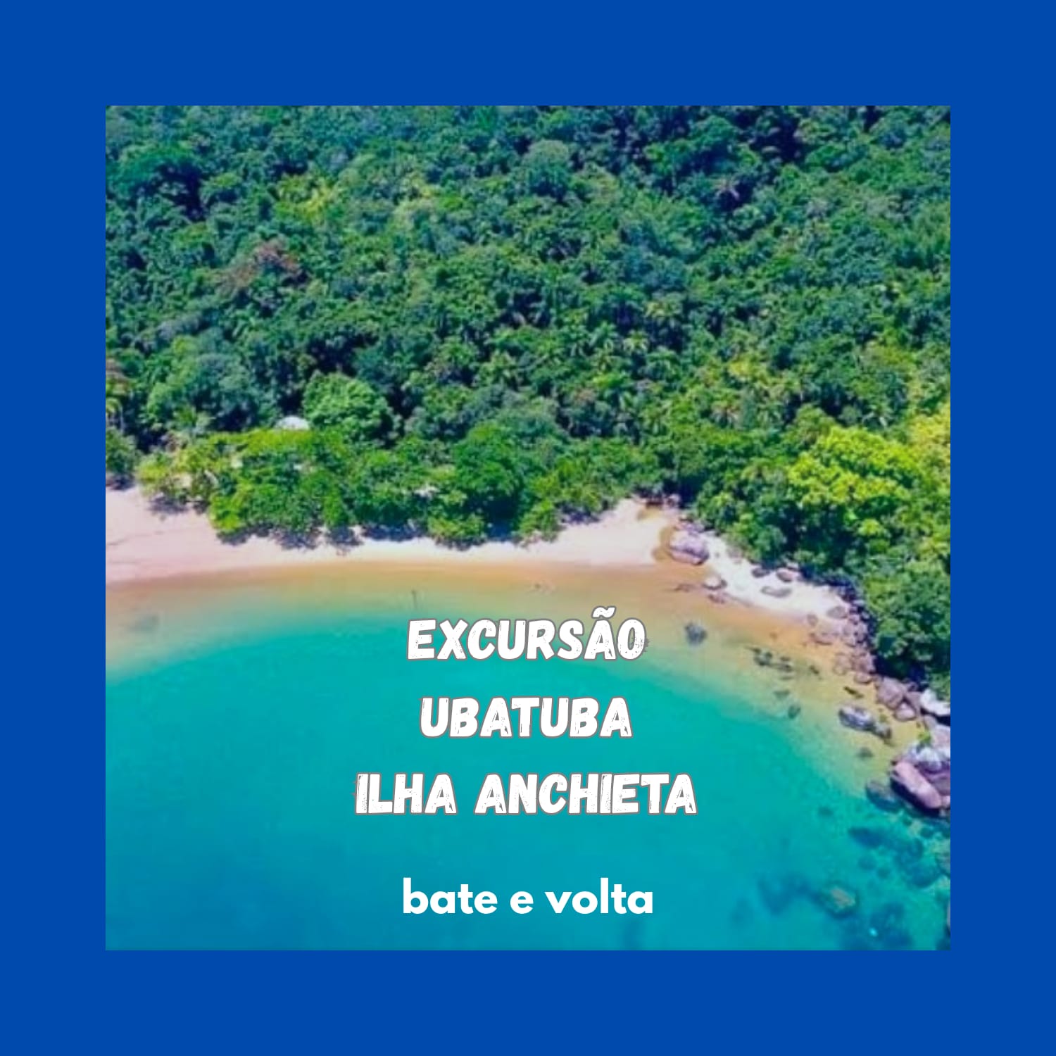 WhatsApp Image 2025-10-31 at 15.11.48