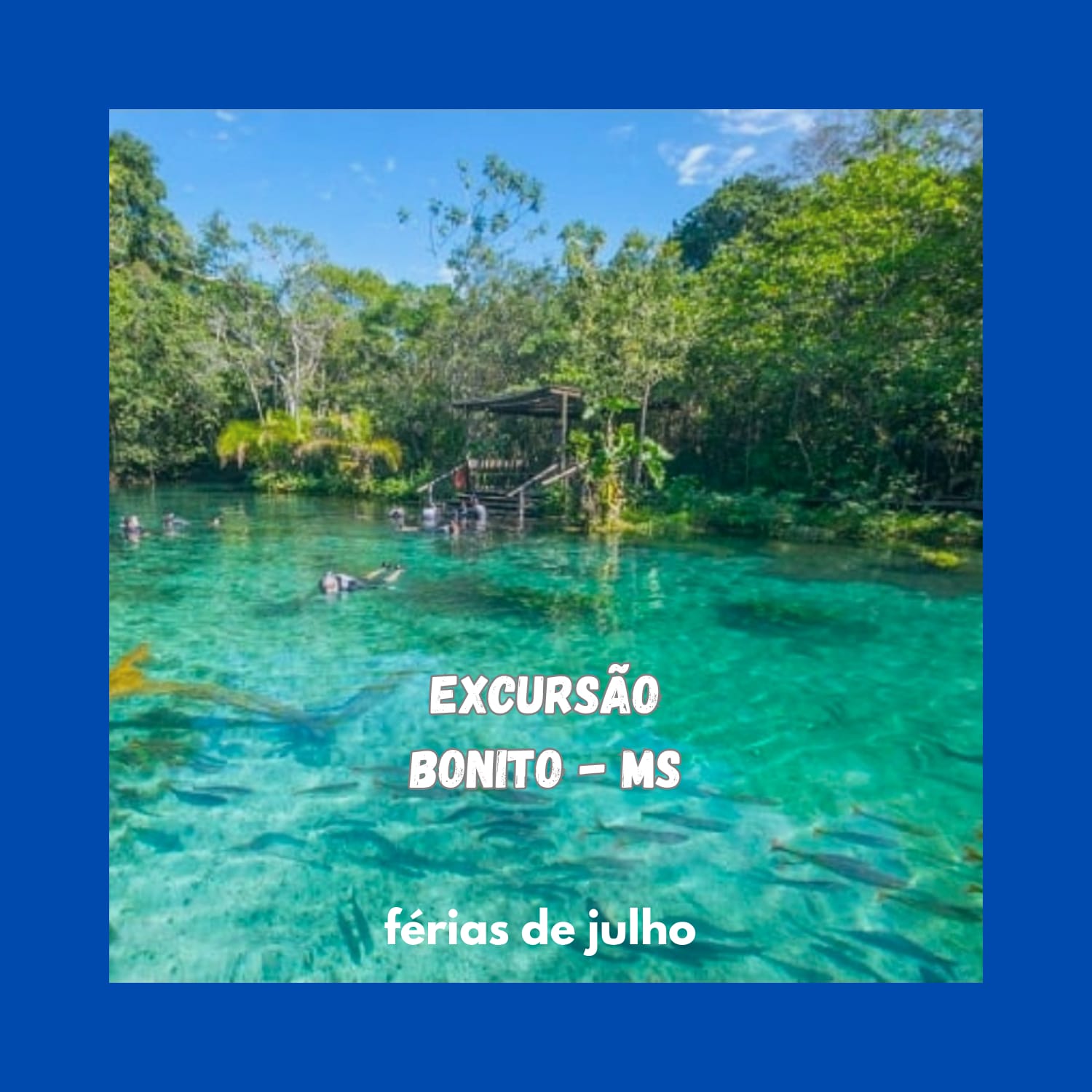 WhatsApp Image 2025-10-31 at 16.42.51