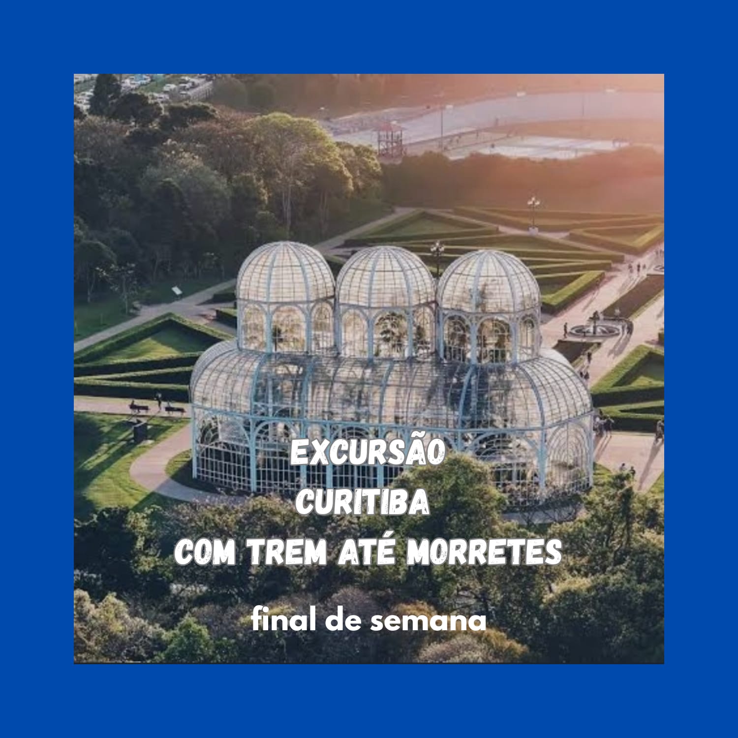 WhatsApp Image 2026-01-12 at 14.37.36