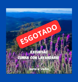 EXCURSÃO CUNHA COM LAVANDÁRIO -14/06/2026